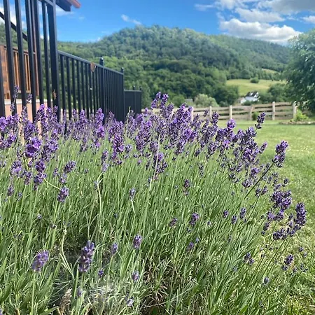 Casa vacanze Kata Vendeghaz